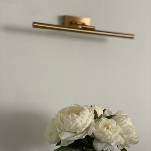 West Elm Picture Light